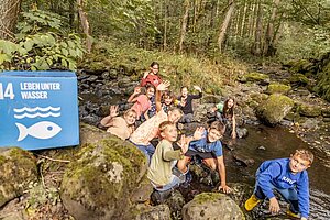 Leben im Wasser schützen ist eines der Ziele der nachhaltigen Entwicklung. In der Wasserschule des Schullandheims Bauersberg untersuchen Schülerinnen und Schüler das Leben im Wasser direkt im Bach, wie auf diesem Bild zu sehen, aber auch im Labor. 