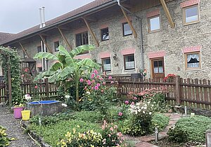 Hausgarten eines bayerischen Bauernhofs mit Bananenpflanze. 