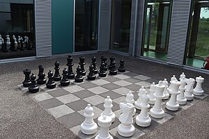 Das Freilandschachspiel: Die schwarzen und weißen Figuren stehen bereit für ein Spiel. 