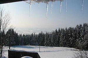Blick aus dem Fenster auf eine sonnige Winterlandschaft.