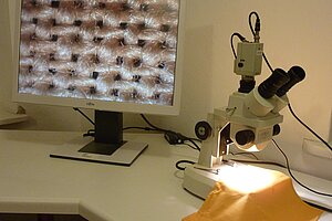 Mikroskop zum naturwissenschaftlichen Forschen im Schullandheim. 