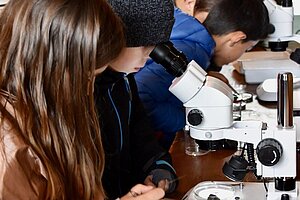 Wasserschule - Jugendliche mikroskopieren Wasserproben.